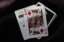Safari Casino Black Playing Cards by Gemini – Image 6