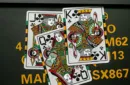 Peter Dash Flash - P51 Mustang Playing Cards by Kings Wild Project Inc. – Image 2