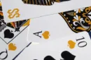 The Games of Spades Expert Playing Cards – Bild 4
