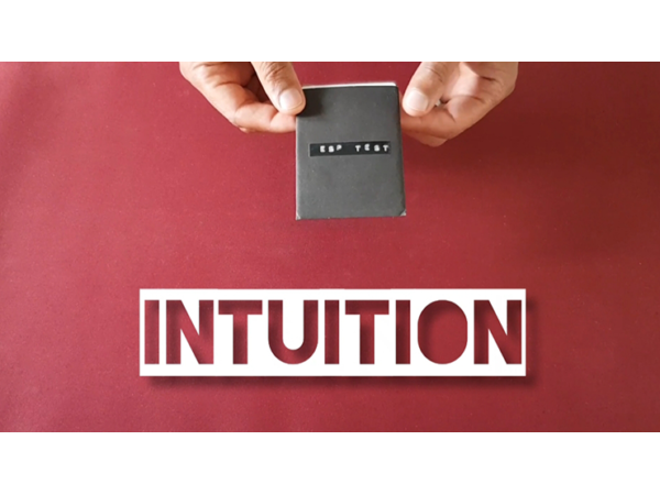 Intuition (Gimmicks and Online Instructions) by Vinny Sagoo