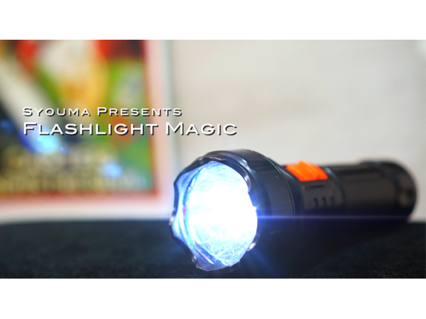 Magic Flashlight (2pk) by Tejinaya Magic