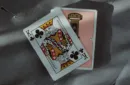 Gemini Casino Pink Playing Cards by Gemini – Image 5