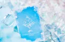 Solokid Frozen Playing Cards by BOCOPO – Bild 4