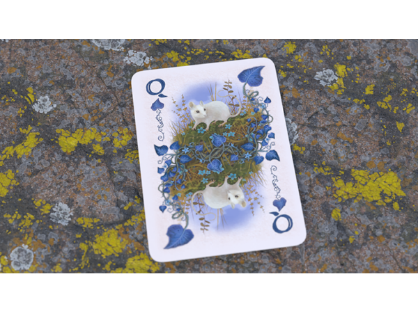 Faunae Veiled Edition Playing Cards by Brain Vessel