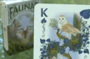 Faunae Veiled Edition Playing Cards by Brain Vessel – Bild 2
