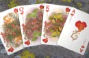 Faunae Veiled Edition Playing Cards by Brain Vessel – Bild 3
