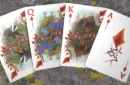 Faunae Veiled Edition Playing Cards by Brain Vessel – Bild 6