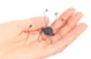 Rose Silk Holder by JL Magic - Trick – Image 3