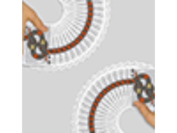 The Serpent (White) Playing Cards