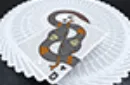 The Serpent (White) Playing Cards – Image 5