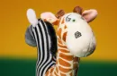 Two-Headed Prediction (Gimmicks and Online Instructions) by Christopher T. Magician – Image 4