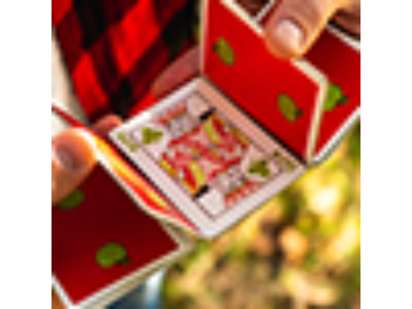 Slicers Playing Cards by Riffle Shuffle