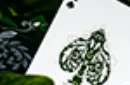 Leaves Collector's (White) Playing Cards by Card House Company – Image 5