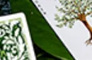 Leaves Collector's (White) Playing Cards by Card House Company – Image 7
