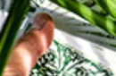 Leaves Collector's (White) Playing Cards by Card House Company – Image 9