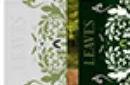 Leaves Collector's (White) Playing Cards by Card House Company – Image 11