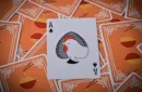 Noodlers Playing Cards – Bild 5