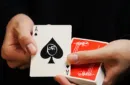 Tomato at the Edge Playing Cards – Bild 3