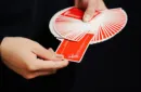 Tomato at the Edge Playing Cards – Bild 4