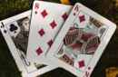 The Arcadia Signature Edition (Brown) Playing Cards by Arcadia Playing Cards – Image 3