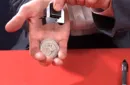Trevor Duffy's Coin Dropper LEFT HANDED (Whole Dollar) by Trevor Duffy – Image 4