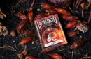 Solokid Constellation Series (Löwe) Limited Edition Playing Cards - Sternzeichen – Bild 1