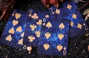 Solokid Constellation Series (Fisch) Limited Edition Playing Cards - Sternzeichen – Bild 3
