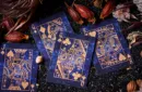 Solokid Constellation Series (Schütze) Limited Edition Playing Cards - Sternzeichen – Bild 4