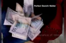 Perfect Switch Wallet by Victor Voitko (Gimmick and Online Instructions) – Image 3