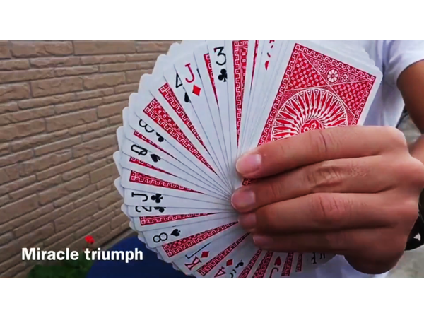 MIRACLE TRIUMPH by Syouma