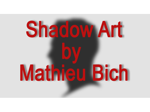 Shadow Art (Bat Man) by Mathieu Bich