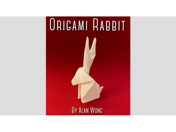 Origami Rabbit by Alan Wong