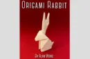 Origami Rabbit by Alan Wong – Image 1