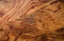 Rosewood Wooden Card Cabinet by TCC – Image 3