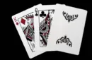 Warrior (Full Moon Edition) Playing Cards by RJ – Image 3