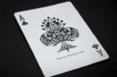 Warrior (Full Moon Edition) Playing Cards by RJ – Image 4
