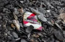 Jurassic Park Playing Cards – Image 1