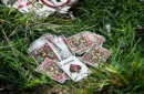 Jurassic Park Playing Cards – Image 4