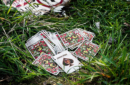 Httpswww magicshop chmediacatalogproductsisimple cardsjurassic 6 png
