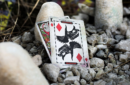 Httpswww magicshop chmediacatalogproductsisimple cardsjurassic 8 png
