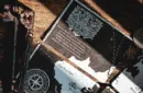 Salt & Bone Playing Cards – Image 6