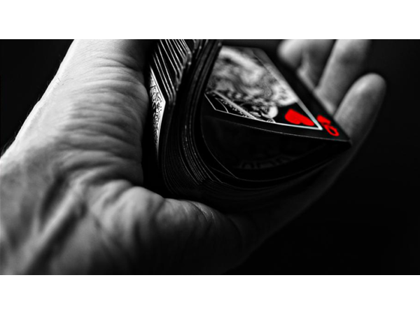 Bicycle Black Tiger Red Playing Cards