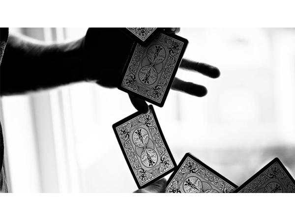 Bicycle Black Tiger Red Playing Cards