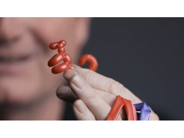 Animinimals (Gimmicks and Online Instructions) by Billy Damon