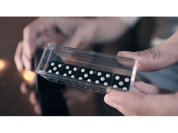 Sonic Dice (With Online Instructions) by Hanson Chien