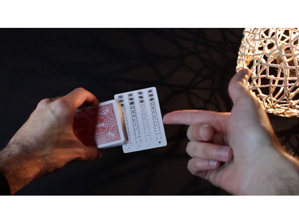 Bicycle Special Deck Playing Cards (plus 11 Online Effects)