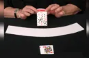 D. DECK (Gimmicks and Online Instructions) by Dominique Duvivier – Image 2