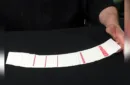 D. DECK (Gimmicks and Online Instructions) by Dominique Duvivier – Image 4