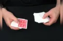 D. DECK (Gimmicks and Online Instructions) by Dominique Duvivier – Image 5