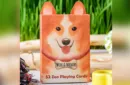 Zoo 52 (Woof Whiskers) Playing Cards by Elephant Playing Cards – Image 1